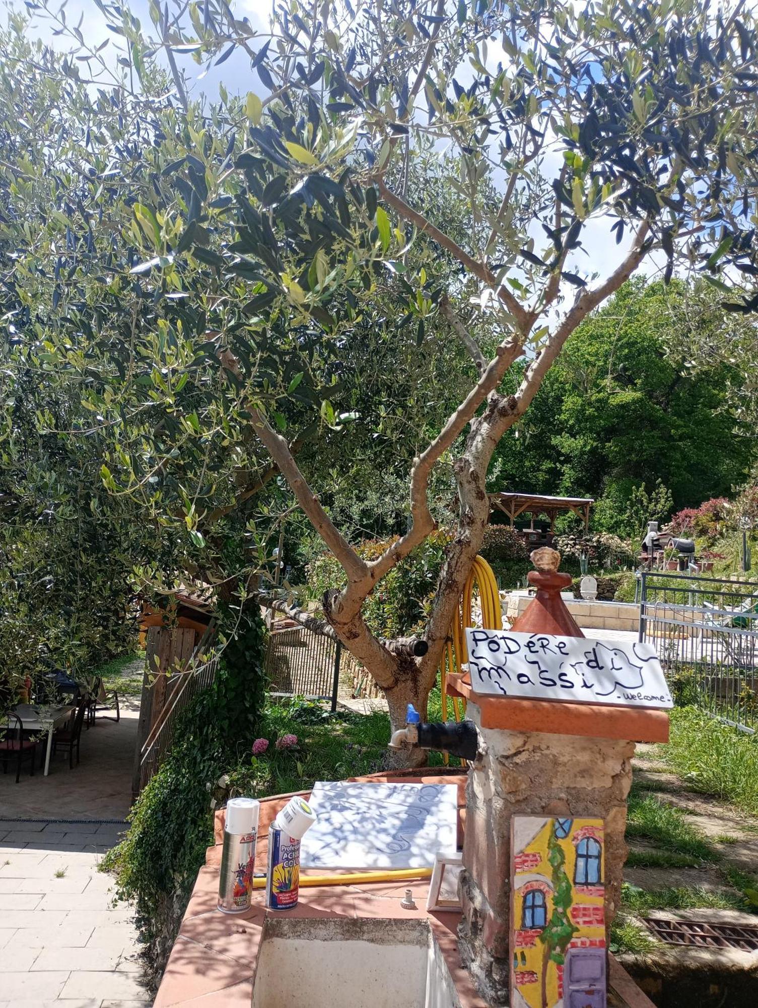 Casetta Nel Podere Di Massi Barberino di Mugello Luaran gambar